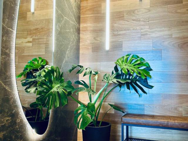 Cobertura para Venda em São Paulo - 4